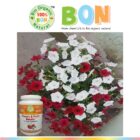 Impact-of-BON-on-Petunia Flowers and Fruits Booster Jannat Nursery)img