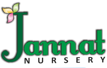 jannat logo)img